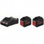 BOSCH Pack 2 batteries ProCORE 18V 12Ah + GAL18V-160C - 1600A016GY